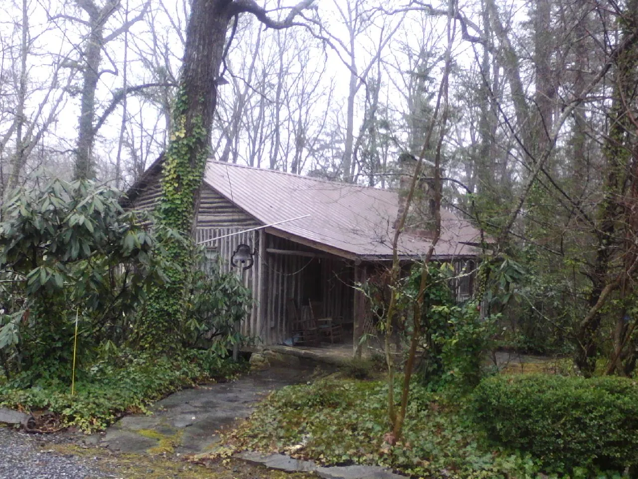 Weathered metal roof on an old board sided cabin in the woods in Ruskin