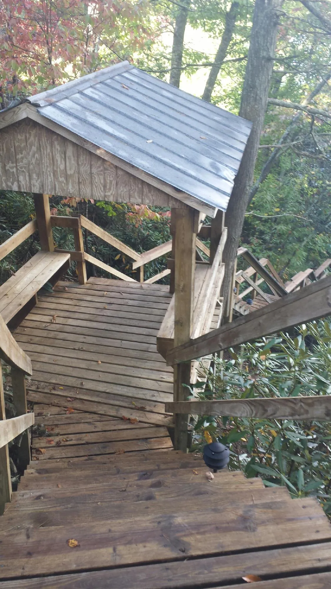 Metal roofed shelter over wooden steps on a wooded walkway — Skylight Repair & Installation work by our crew in Ruskin
